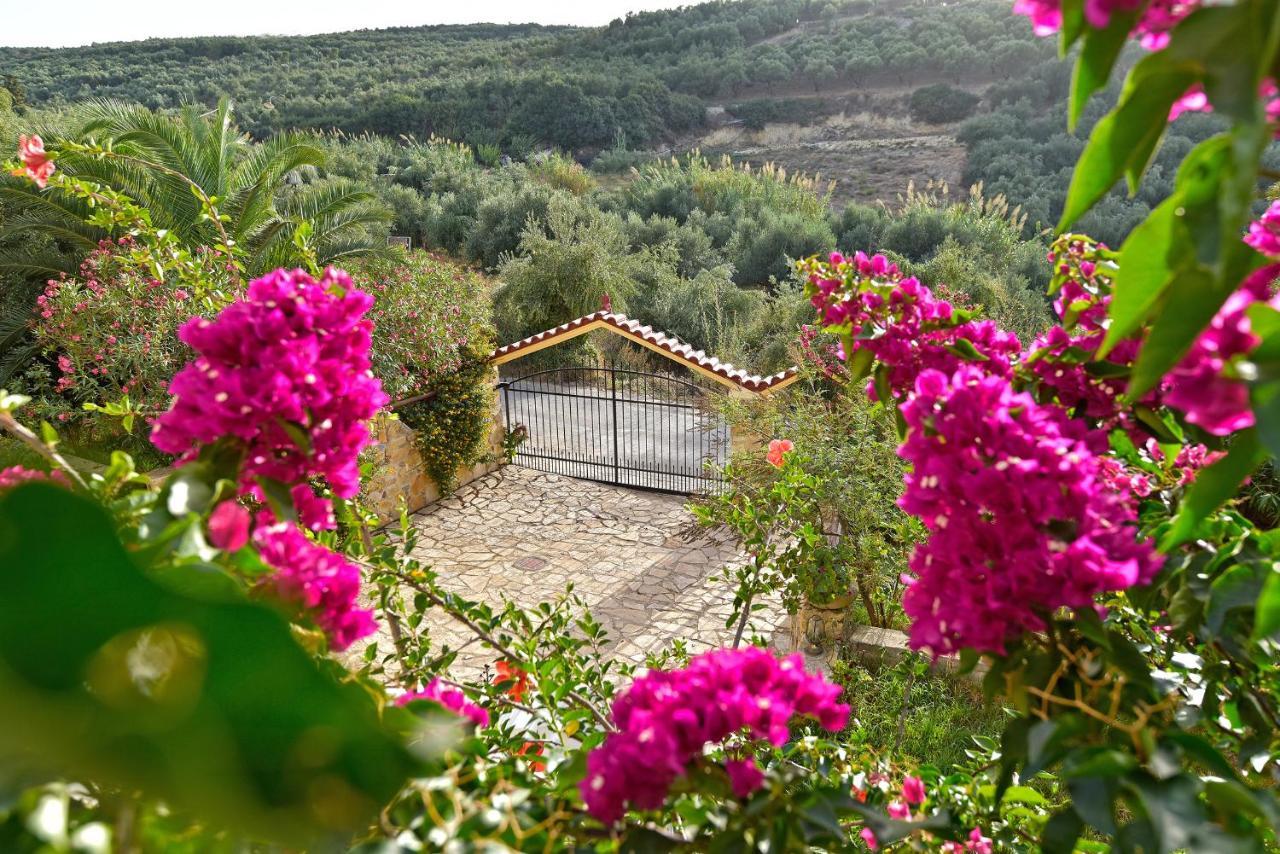 Вилла Olive Farm Агия-Марина Экстерьер фото