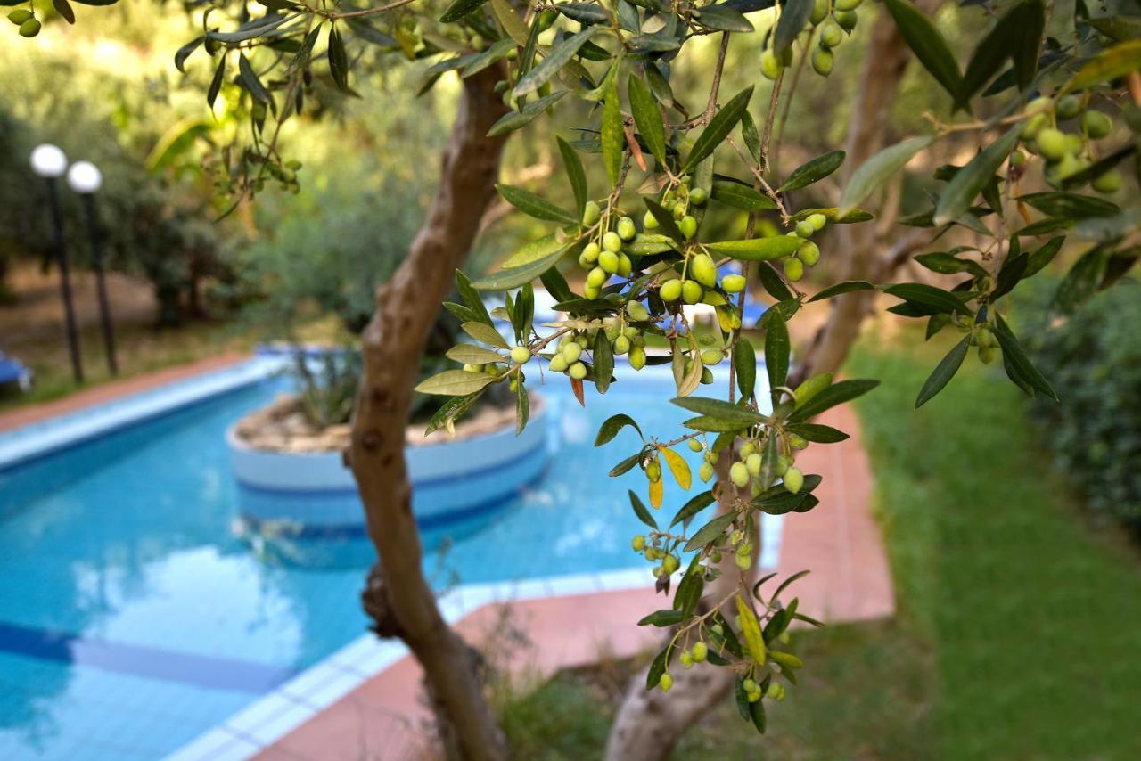 Вилла Olive Farm Агия-Марина Экстерьер фото