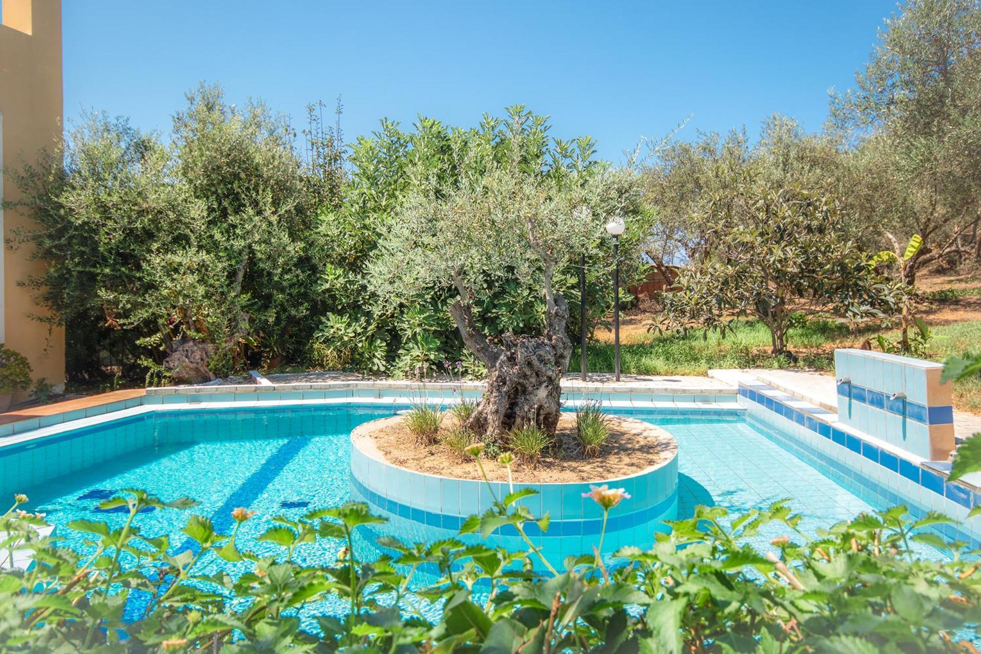 Вилла Olive Farm Агия-Марина Экстерьер фото