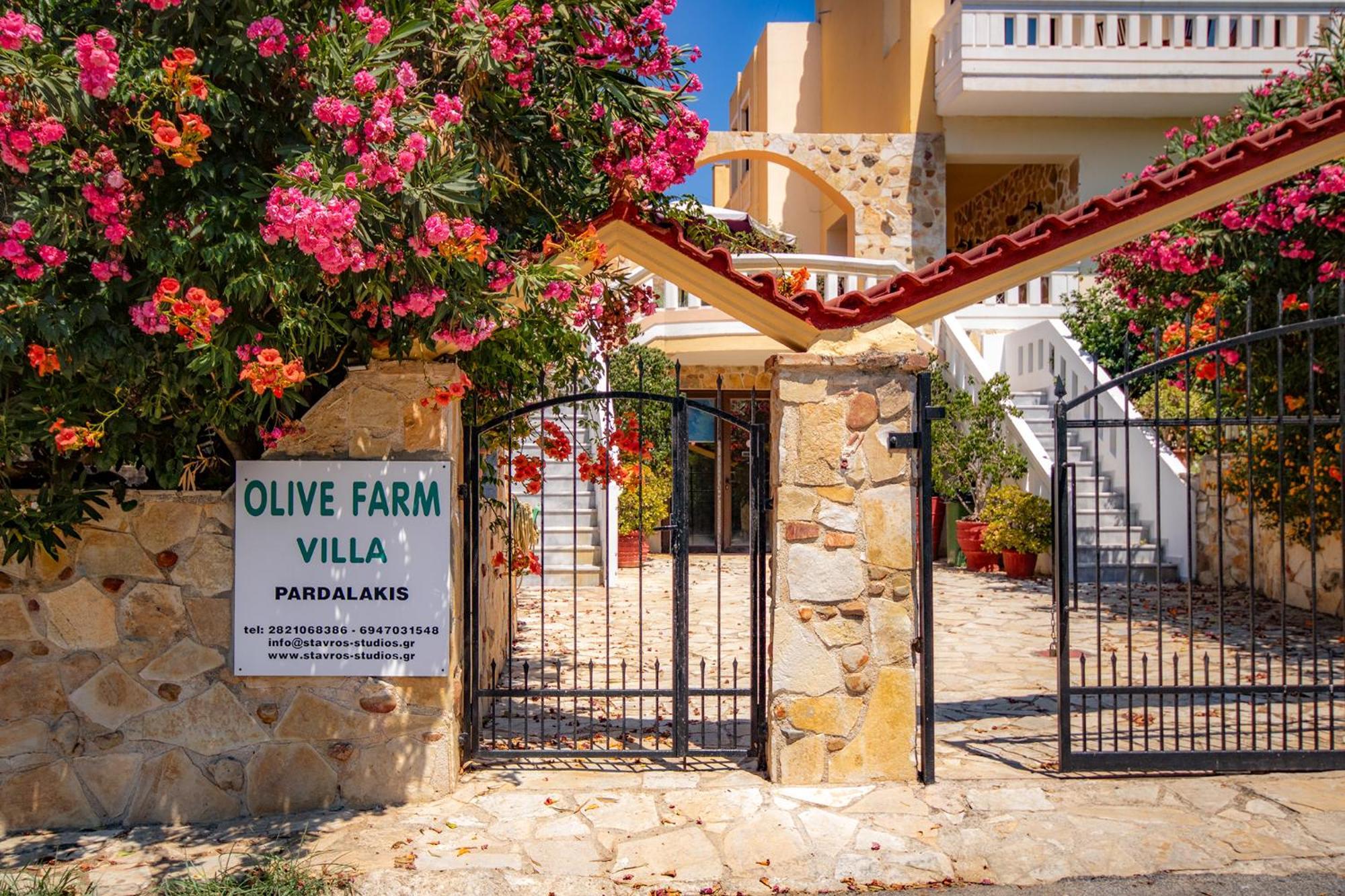 Вилла Olive Farm Агия-Марина Экстерьер фото